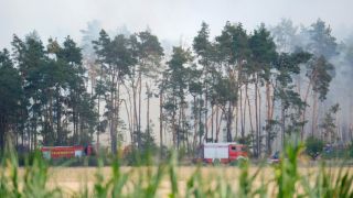 Qualm von Glutnestern und kleineren Feuern steht am 29.07.2022 in einem Wald im Landkreis Elbe-Elster (Quelle: dpa/Sebastian Willnow)