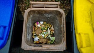 Archivbild: Eine Bio-Mülltonne steht zwischen einer Altpapiertonne (l) und einer Plastikmülltonne (r), aufgenommen am 13.03.2012. (Quelle: dpa/Arno Burgi)