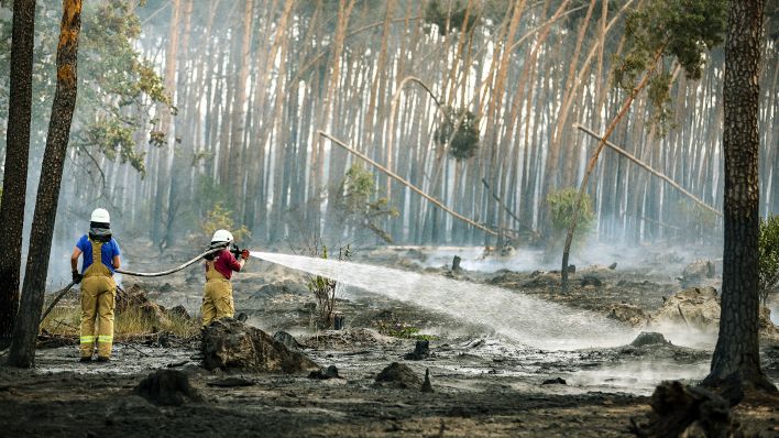 Feuerwehrleute löschen Glutnester in einem Waldgebiet bei Falkenberg (Bild: dpa/Jan Woitas)
