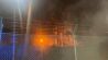 Feuer und Rauch sind am Sprengplatz im Berliner Grunewald zu sehen. (Quelle: TNN)