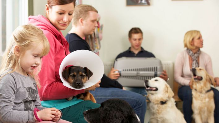 Mehrere Personen und Haustiere in einem Warteraum beim Tierarzt (Quelle: imago images)