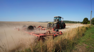 Traktor erntet Getreide in der Uckermark (Bild: imago images / serienlicht)