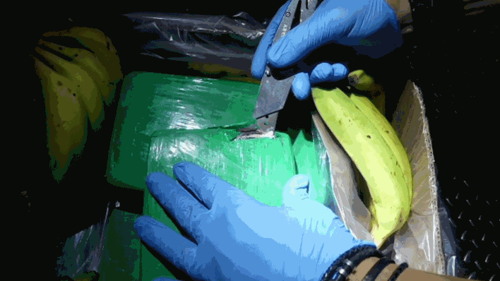 In Bananenkisten in Groß Kreutz (Potsdam-Mittelmark) wurden 660 Kilo Kokain gefunden (Bild: Polizei Brandenburg)