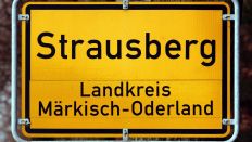 Blick auf das Ortseingangsschild der brandenburgischen Stadt Strausberg im Landkreis Märkisch-Oderland. (Foto: Patrick Pleul/dpa)