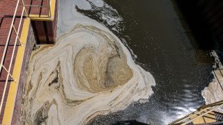 Verschmutzte Odergewässer in Wroclaw, Polen am 12.08.2022 (Quelle: dpa/Krzysztof Zatycki)