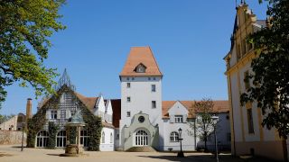 Schloss Liebenberg im Löwenberger Land (Quelle: dpa/Moritz Vennemann)
