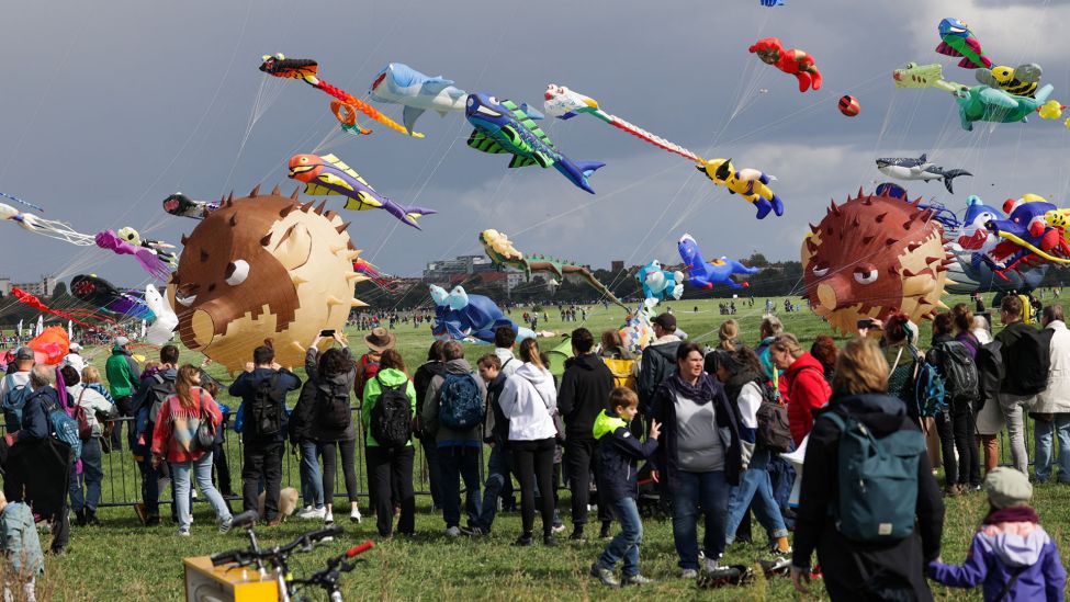 Besucher sehen sich beim Festival der Riesendrachen auf dem Tempelhofer Feld in Berlin die Drachen an. (Quelle: dpa/Jörg Carstensen)