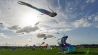 Zahlreiche Drachen sind beim Festival der Riesendrachen auf dem Tempelhofer Feld in Berlin zu sehen. (Quelle: imago-images/Jürgen Held)