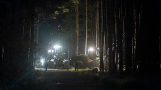 Rodungsfahrzeuge stehen am 28.10.2022 in einem Waldstück auf dem Tesla-Gelände in Grünheide (Quelle: dpa/Christophe Gateau)