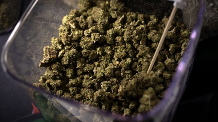 Marihuana-Versandhandel: Berliner Familie wegen Vorwurf des Dealens angeklagt | rbb24