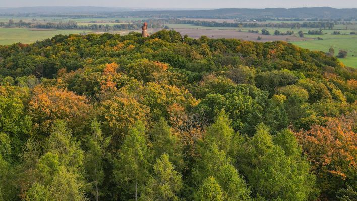 Der 28 Meter hohe Bismarck-Turm im Wandergebiet nahe Bad Freienwalde steht zwischen herbstlich gefärbten Bäumen. (Quelle: dpa/Patrick Pleul)