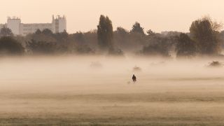 Tempelhofer Feld im Herbst-Nebel (Bild: dpa/photothek/Florian Gaertner)