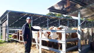 Agraringenieur Michael Bleiker vor der Agri-Photovoltaik-Anlage für Weidevieh (Quelle: rbb/Hakenjos)