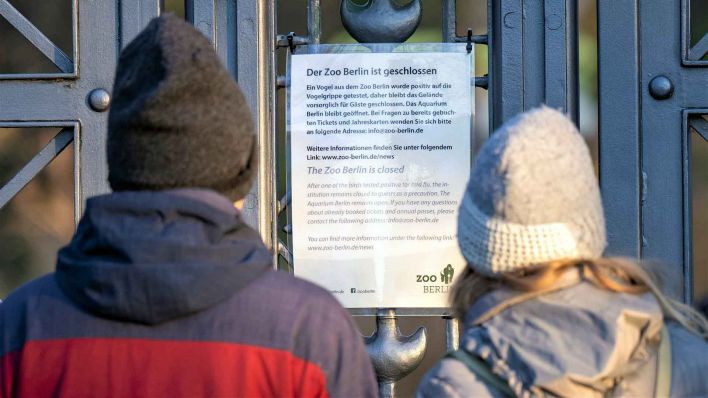 Besucher lesen den Aushang am geschlossenen Tor am Eingang zum Berliner Zoo. Der Zoo ist wegen einem Fall von Vogelgrippe geschlossen. (Foto: Monika Skolimowska/dpa)