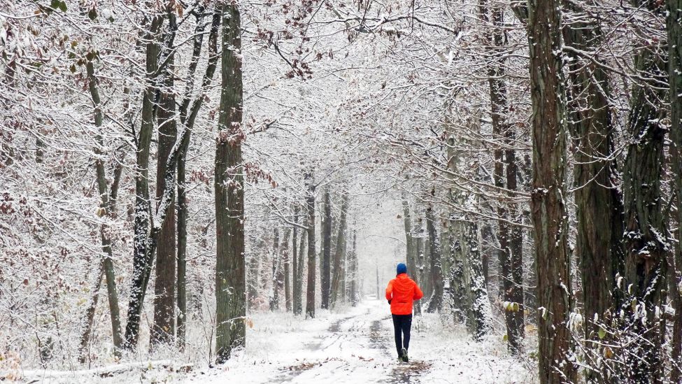 Ein Jogger läuft bei Temperaturen um null Grad Celsius durch den verschneiten Berliner Forst. (Quelle: dpa/W. Kumm)