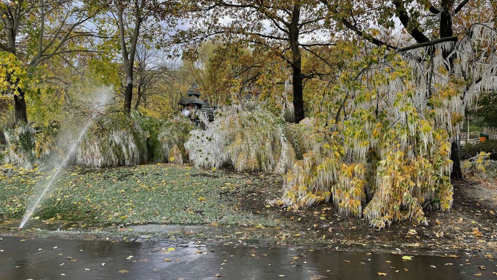 Im Nelly-Sachs-Park in Schöneberg wird der Rasen gesprengt und kreiert Eiskunst. (Quelle: rbb)