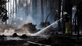 Archivbild:Ein Feuerwehrmann löscht Glutnester in einem Waldgebiet bei einem Waldbrand am 26.07.2022.(Quelle:dpa/J.Woitas).