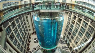 Blick auf den AquaDom, das größte freistehende zylindrische Aquarium der Welt, aufgenommen am 29.07.2015 in Berlin. (Quelle: dpa/Jörg Carstensen)