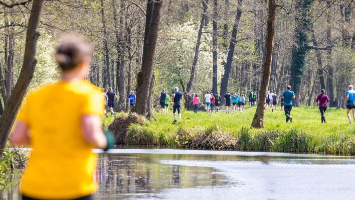 Teilnehmer des Halbmarathon beim Spreewald-Marathon passieren die Buschmühle im Spreewald. (Quelle: dpa/Frank Hammerschmidt)