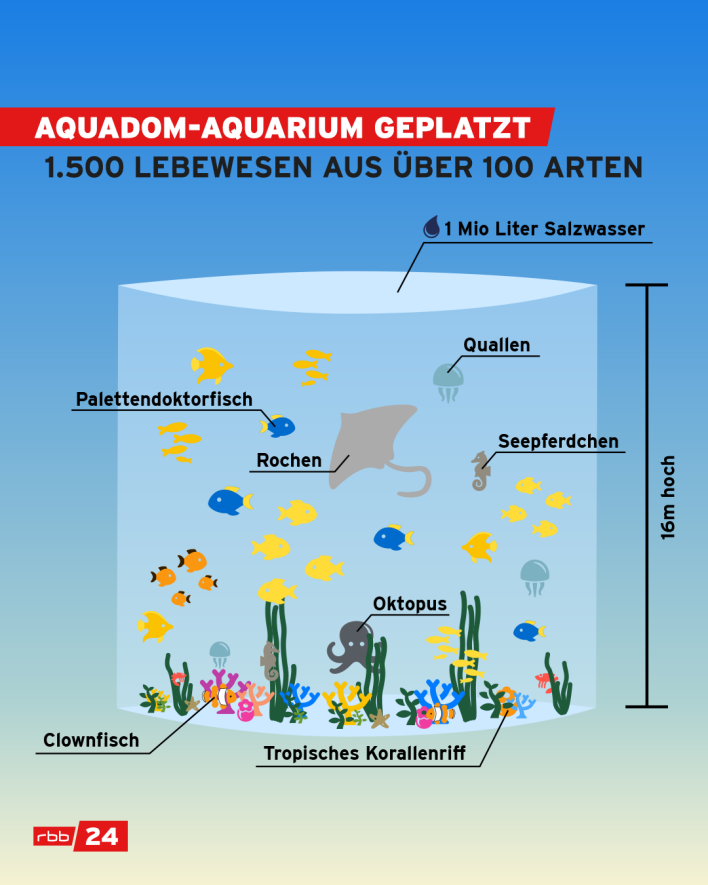 Grafik: Aquadom-Aquarium geplatzt (Quelle: rbb/Sophia Bernert)