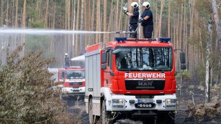 Symbolbild: Löscharbeiten der Feuerwehr in einem Waldbrandgebiet (Quelle: dpa/Sebastian Kahnert)