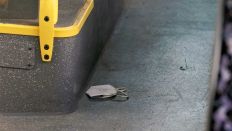 Eine FFP2 Maske liegt auf dem Boden eines BVG-Busses. (Foto: picture alliance/Fotostand)