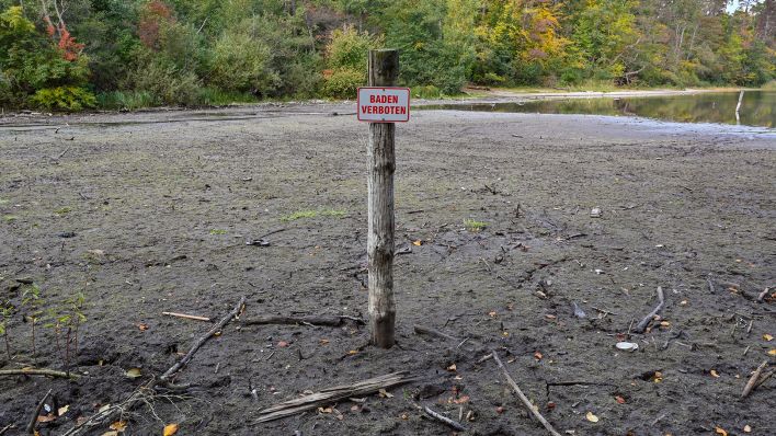Das Schild "Baden verboten" steht an der südlichen Spitze eines Sees längst auf dem Trockenen. (Quelle: dpa/Patrick Pleul)