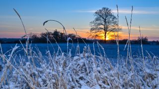 Der Sonnenaufgang leuchtet am frühen Morgen über der winterlich verschneiten Landschaft im Landkreis Märkisch-Oderland in Ostbrandenburg. (Quelle: dpa/Patrick Pleul)