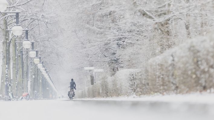 Ein Mann fährt am 06.02.2023 mit einem Lastenrad durch den Tiergarten nach Schneefall in Berlin. (Quelle: Picture Alliance/Florian Gaertner)