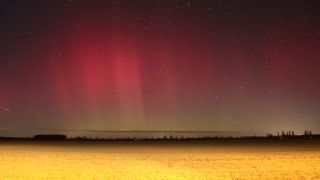 Polarlichter leuchten über Brandenburg auf dieser Nachtaufnahme mit Langzeitbelichtung. (Quelle:dpa/C.Dettlaff)