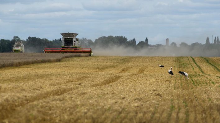 Symbolbild: Weizenernte auf einem Feld in der Ukraine. (Quelle: dpa/Maxym Marusenko)