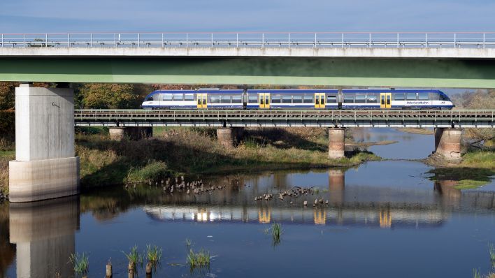 Eine Regionalbahn der Niederbarnimer Eisenbahn NEB der Linie RB 26 fährt am 15.10.2019 über eine Brücke und spiegelt sich im Wasser der Oder. (Quelle: dpa-Zentralbild/Soeren Stache)