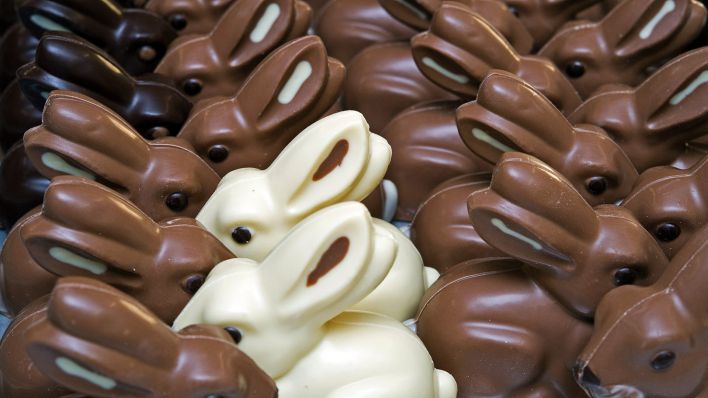 Symbolbild:Schokoladenhasen stehen aufgereiht in einer Confiserie.(Quelle:dpa/P.Pleul)