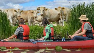 Symbolbild: Touristen in der Uckermark beobachten Rinder auf einer Weide von ihrem Kanu aus. (Quelle: dpa/P. Pleul)