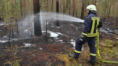 Archivbild: Ein Mitglied der Feuerwehr löscht letzte Glutnester nach einem Waldbrand. (Quelle: dpa/Patrick Pleul)