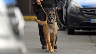 Symbolbild: Ein Polizist geht mit einem Polizeihund über eine Straße (Quelle: dpa/Hendrik Schmidt)