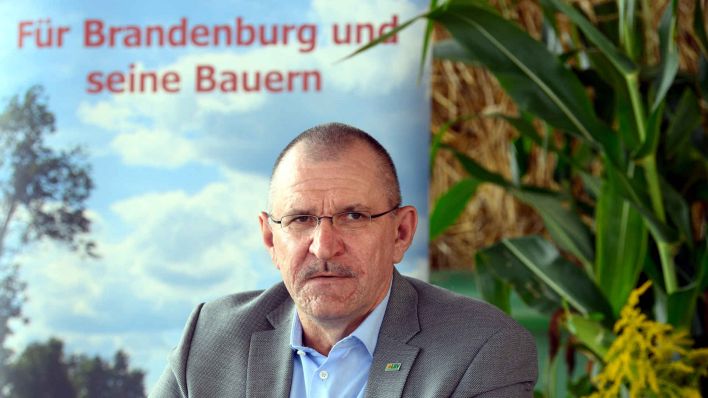 Archiv: Henrik Wendorff, Präsident des Landesbauernverbandes Brandenburg. (Foto: dpa)