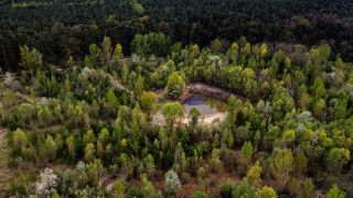 Symbolbild:Eine Luftaufnahme eines Waldes in Brandenburg.(Quelle:dpa/P.Zinken)