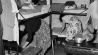 Archivbild: Neue im Notaufnahmelager Marienfelde 1958 Berlin (West), Bezirk Tempelhof, Ortsteil Marienfelde, Notaufnahmelager Marienfelde (Aufnahmelager für Flüchtlinge aus der DDR und Ost-Berlin; erbaut 1952-1953). / - Ende August 1958 erreichen die Flüchtlingszahlen mit 3000 Menschen innerhalb von drei Tagen eine neue Rekordhöhe: Neu eingetroffene Flüchtlinge beim Beziehen ihrer Betten. (Quelle: dpa/G. Schütz)