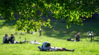 Symbolbild: Menschen genießen das sonnige Wetter auf einer Wiese in dem Park Hasenheide. (Quelle: dpa/Monika Skolimowska)
