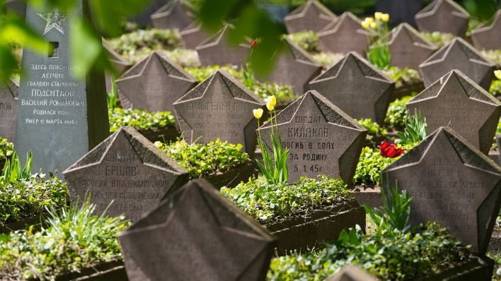 Blumen wachsen zwischen den Grabsteinen des Sowjetischen Ehrenfriedhofes auf dem Bassinplatz in Potsdam. (Quelle: dpa/Soeren Stache)