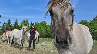 Julia Rossow, Pferdewirtin, kümmert sich um die Liebenthaler Pferde auf einer Weide nahe dem Schiffshebewerk Niederfinow. (Quelle: dpa/Patrick Pleul)