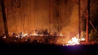 Flammen schlagen in die Höhe und Rauch steigt auf bei Nacht zum 06.06.23 in einem Waldstück nahe Jüterbog.(Quelle:dpa/C.Detlaff)