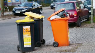 Mülltonnen stehen an einer Straße bereit zur Leerung durch die Müllabfuhr. (Quelle: dpa/Wolfram Steinberg)