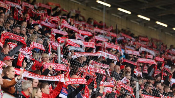 Die Fans von Energie Cottbus halten ihre Schaals in die Höhe (imago images/Steffen Beyer)