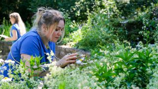Archivbild: Lisa Timmermann hilft am 03.06.2022 beim Zählen von Insekten beim NABU Insektensommer im Duftgarten Friedrichshain. (Quelle: dpa/Jens Kalaene)