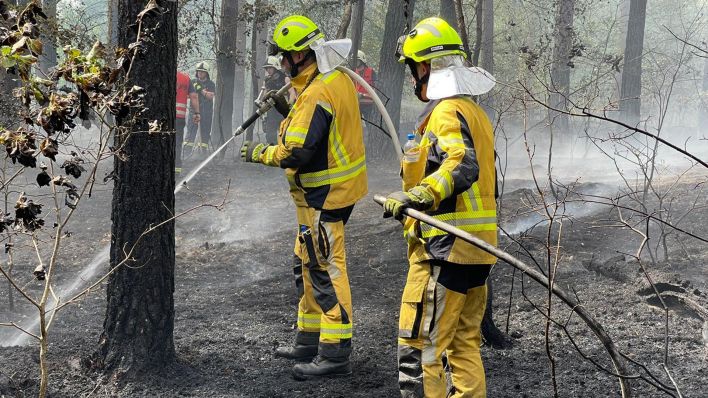 Symbolbild: Feuerwehrleute löschen am 25.06.2022 Glutnester in einem Wald im Landkreis Ostprignitz-Ruppin. (Quelle: picture alliance/Christian Guttmann)