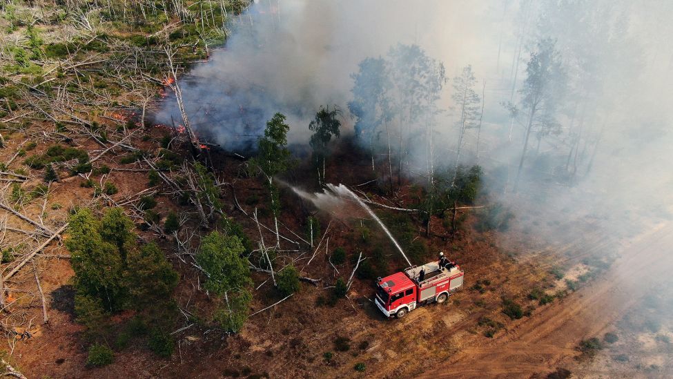 Einsatzkräfte der Feuerwehr bekämpfen in einem Waldstück nahe Jüterbog das Feuer. (Quelle: dpa/Fabian Sommer)