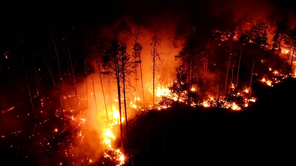 Flammen schlagen bei Nacht am 05.06.23 in einem Waldstück nahe Jüterbog in die Höhe (Aufnahme mit Drohne). (Quelle: dpa/Thomas Schulz)