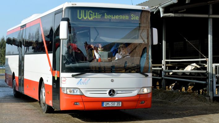 Archivbild: Ein Kombibus der UVG fährt am 24.02.2015 in Kerkow (Brandenburg) an einem Kuhstall vorbei auf das Gut. (Quelle: dpa-Zentralbild/Bernd Settnik)